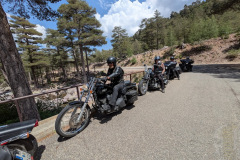 Rondos MC 2025